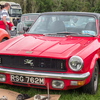 B8226642
