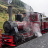  9090253