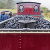  9090256