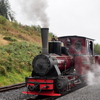  9090294