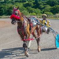 Trotting Track
