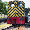 P6150004
