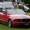 P9020667