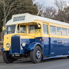 M4303519