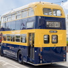M4303533