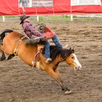 Cody Rodeo