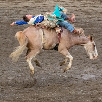 A night at the Cody Rodeo