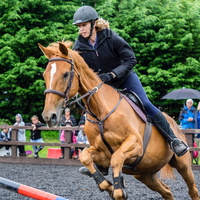 Horse show 2015