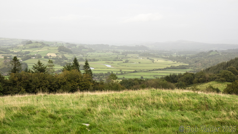 M9060781.jpg