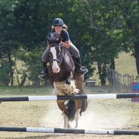 Horse show 2013