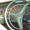 P1050355 (2)