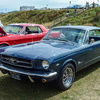 P1050349 (2)
