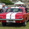 P1050392 (2)