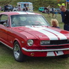 P1050396 (2)