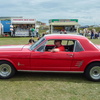 P1050393 (2)