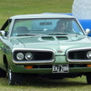 P1050435 (2)