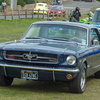P1050463 (2)