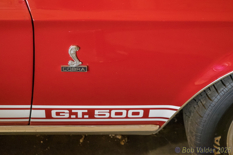 P6115667.jpg