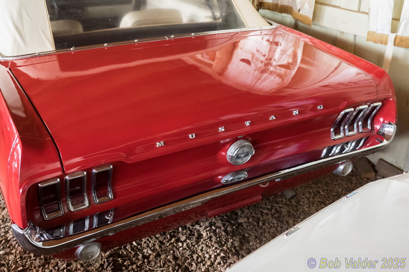 P6115702.jpg
