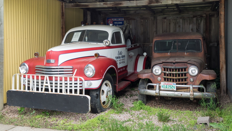 P6115734.jpg