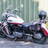 BC132019