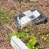 M7146842