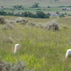 Little Bighorn Battlefield