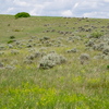 Little Bighorn Battlefield