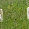 Little Bighorn Battlefield