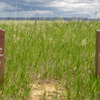 Little Bighorn Battlefield