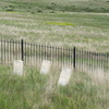 Little Bighorn Battlefield