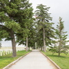 Little Bighorn Battlefield