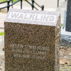 P6146495