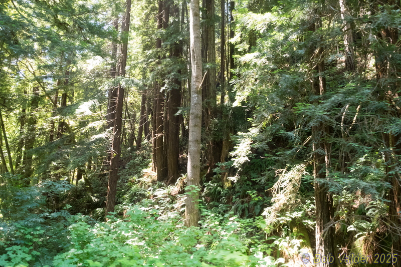 M7015163.jpg