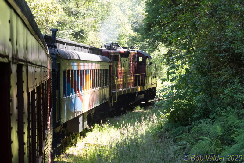 M7015167.jpg