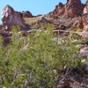 P1110929