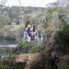 IMG 0010