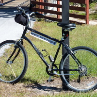 Miscellaneous cycles rented