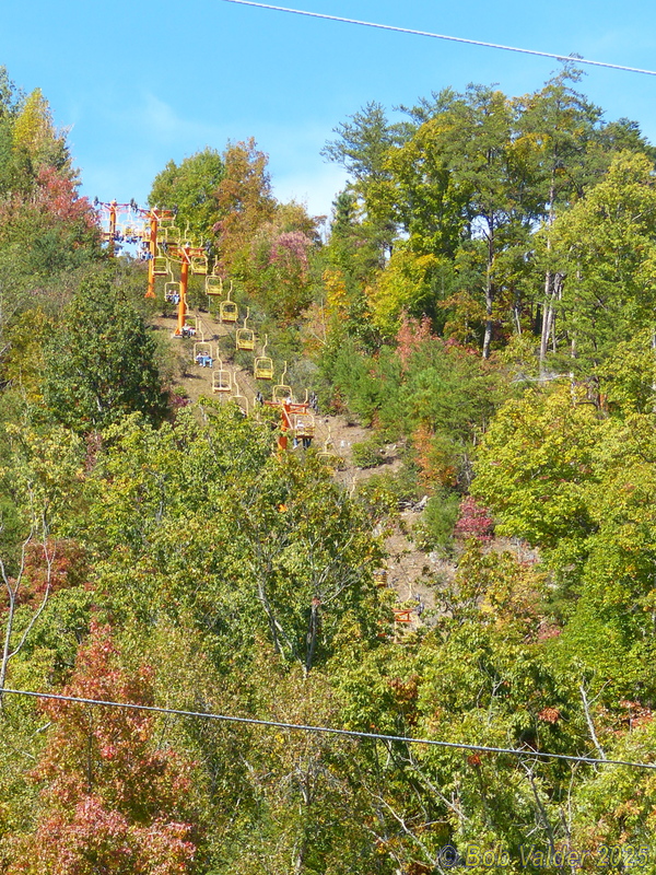 P1110472.jpg