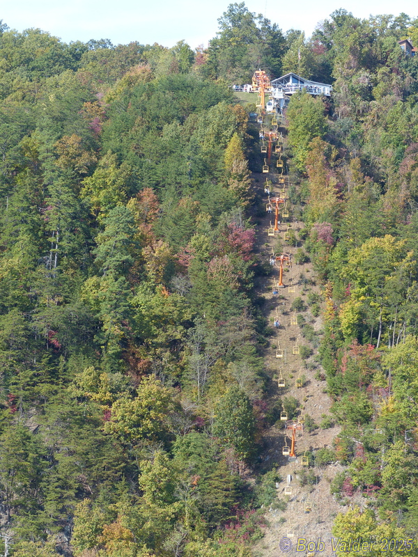 P1110494.jpg