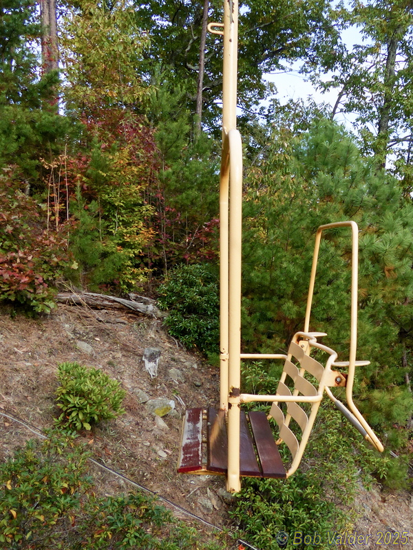 P1110544.jpg