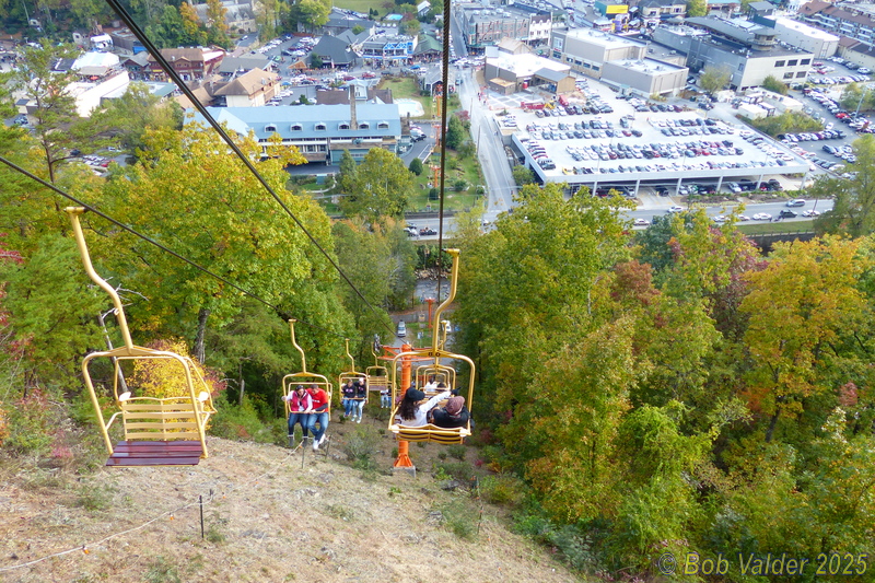 P1110546.jpg