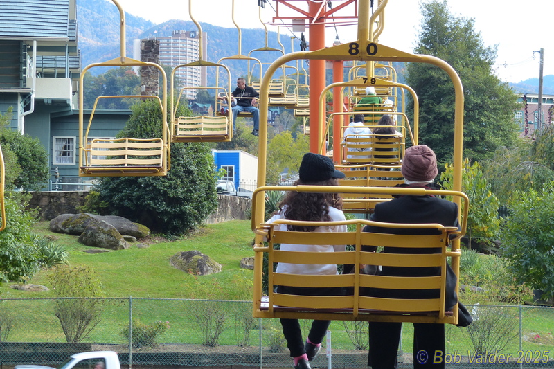 P1110558.jpg