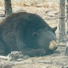 P1080728