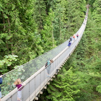 Suspension Bridge