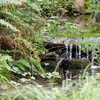 M7207814