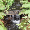 M7207815