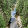 M7207838