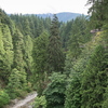 M7207837