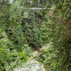 M7207825